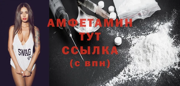 ГАЛЛЮЦИНОГЕННЫЕ ГРИБЫ Вязники