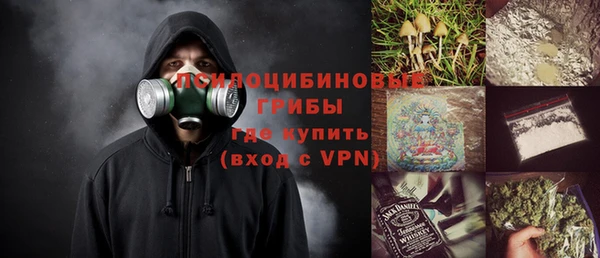 ГАЛЛЮЦИНОГЕННЫЕ ГРИБЫ Вязники