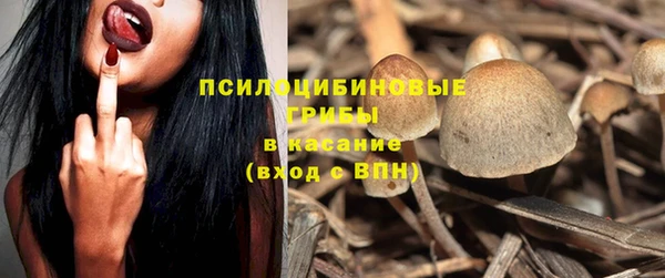 mix Вяземский