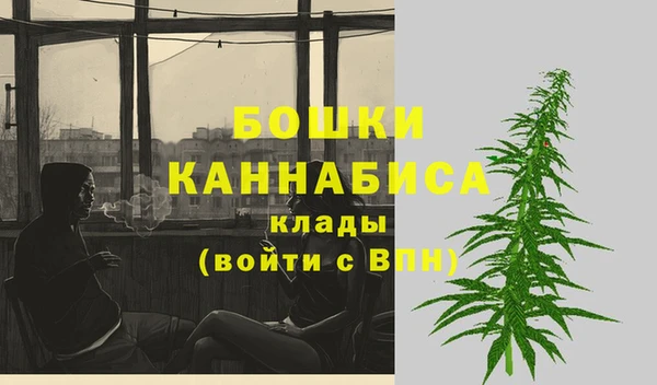 стафф Волоколамск