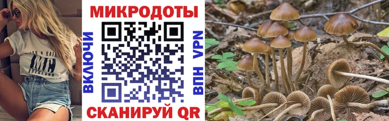 Галлюциногенные грибы MAGIC MUSHROOMS  kraken ONION  Добрянка 